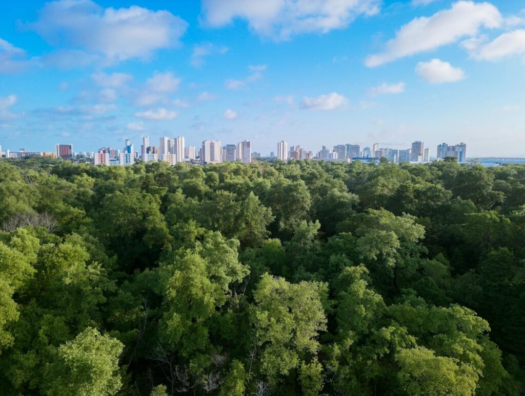 The Future of Sustainable Cities