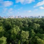 The Future of Sustainable Cities