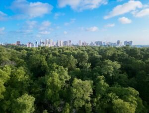 The Future of Sustainable Cities