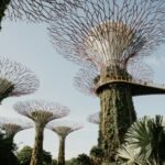 How Artificial Intelligence Is Transforming Tourism