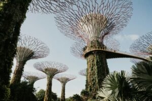 How Artificial Intelligence Is Transforming Tourism