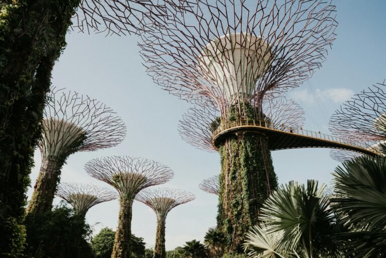 How Artificial Intelligence Is Transforming Tourism